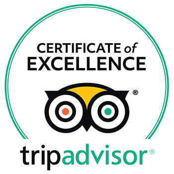 TripAdvisor Certificate